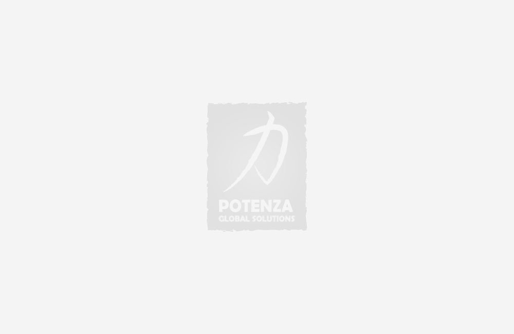 Dating Website – (Monthly membership fees income)
