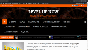 LEVELING UP YOUR LIFE WEB SITE FOR SALE