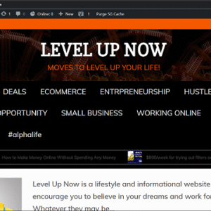 LEVELING UP YOUR LIFE WEB SITE FOR SALE