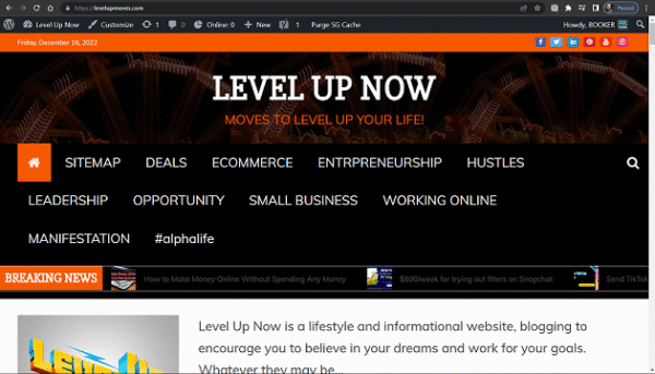 LEVELING UP YOUR LIFE WEB SITE FOR SALE