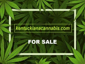 KENTUCKIANACANNABIS.COM DOMAIN FOR SALE - $24,450.00
