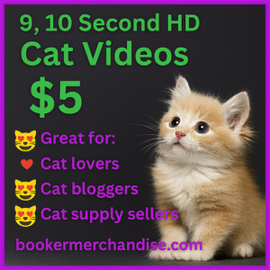 9, 10 Second Adorable HD Cat Videos