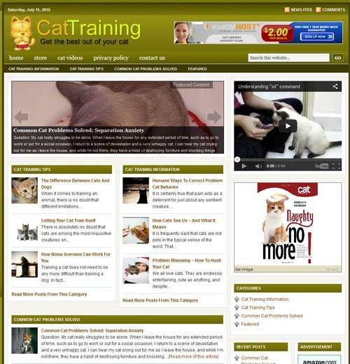 Cat Training