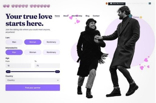 Online Dating Website - (MEMBERSHIP FEES INCOME)