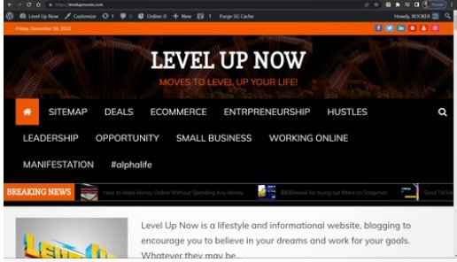 LEVEL UP Website for sale-*89 Blogs*- A CASH COW! Inc. 1 yrs of hosting & Domain