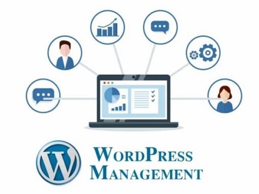 WEBSITE MANAGEMENT SERVICE